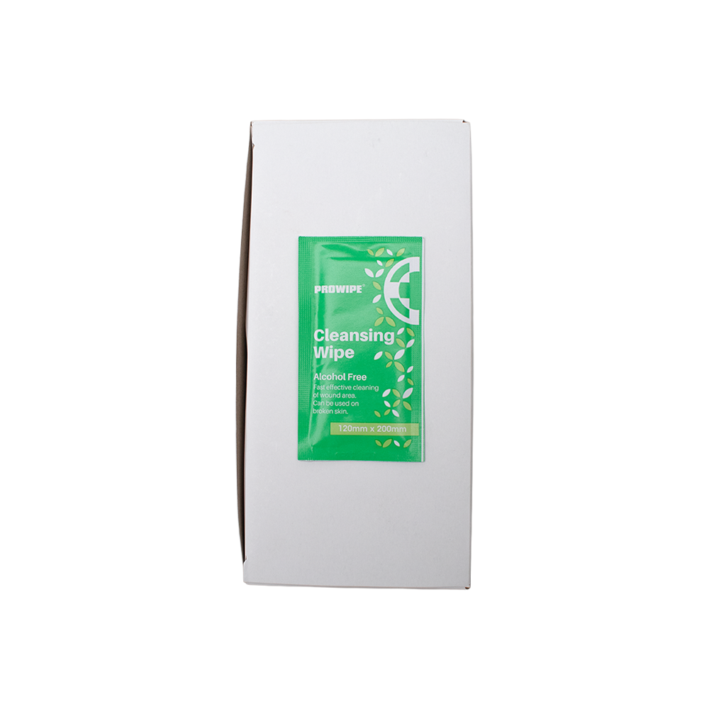 Antiseptic Wipes (100's) - 1 Pack 3